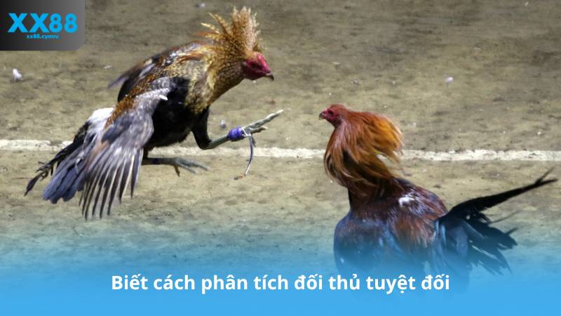 Biết cách phân tích đối thủ tuyệt đối